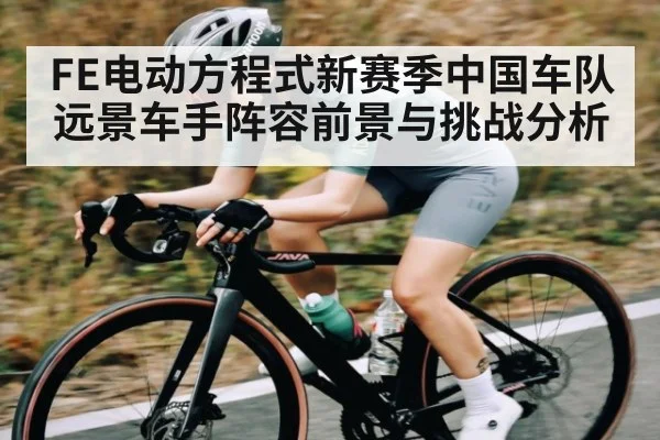 FE电动方程式新赛季中国车队远景车手阵容前景与挑战分析（leyu）